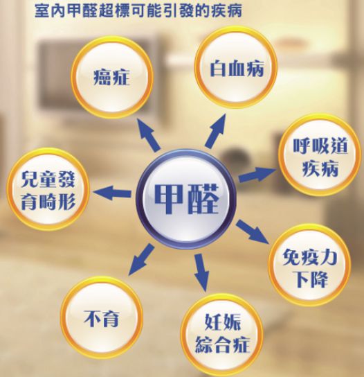 趕緊收藏 定南都在找的家政 搬家 除甲醛 保潔服務,這里通通都有