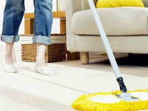 菲式管家家政加盟人氣解析 專(zhuān)業(yè)服務(wù)與市場(chǎng)潛力并存