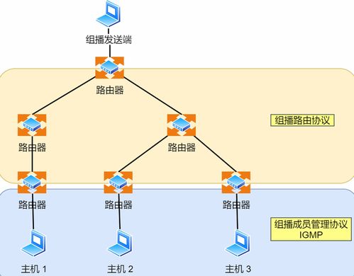 IP協議 互聯網服務的基石與相關核心技術